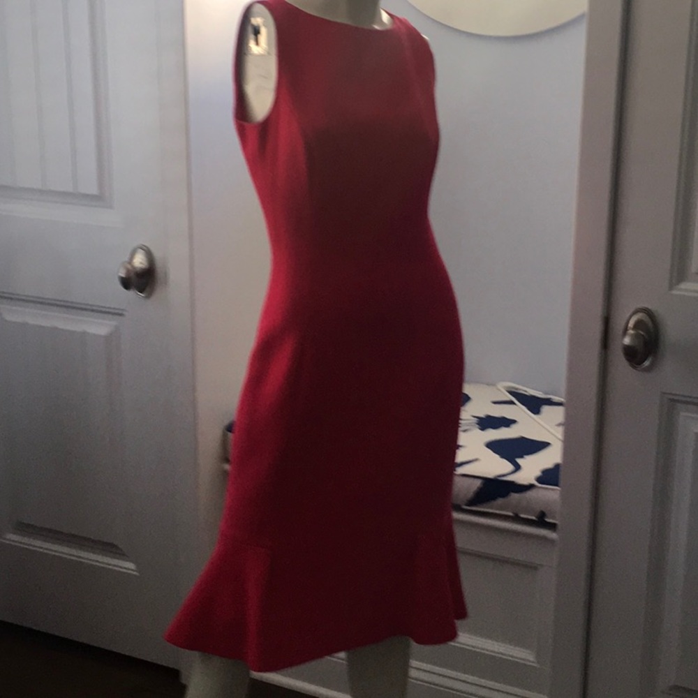 Michael Kors Azalea Dress with Angora Jacket